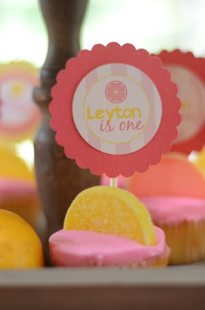 Scallop Circle Punch